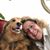 Monica Shields's profile image