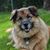 Theresa Radant's profile image
