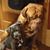 Jack Gerbehy's profile image