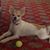 Angela Waid's profile image