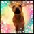 Carol Lloyd's profile image