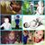 Casey Reichard's profile image