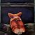 Robin Haga's profile image