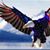 Terry Bannan's profile image