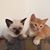 Carol Herz's profile image