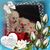Bo Tao's profile image
