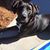 Jennifer Jennings-Herman's profile image