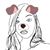 Luu Lan's profile image