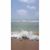 Muhammad Uzair's profile image