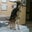 Rita Archunde's profile image