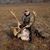 Brandon d'Augereau's profile image