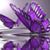 Sandra Smith's profile image
