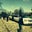 black diamond transportation llc's profile image