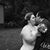 Ashley R. Paulsen's profile image