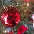 Tracy Clements's profile image