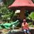 Connie Pinales's profile image