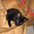 Patricia Ann's profile image