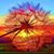 Sanchez Nena's profile image