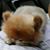 Kim Candelaria's profile image