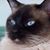 Jan Marshall's profile image