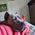 Daniel Mitton's profile image