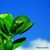 Rodrigo Mirafuentes's profile image