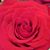 Kristina Liebig Keough's profile image