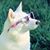 La Jonna Waugh's profile image