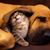 Linda Tibbets's profile image