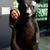 Dawn Medlock Ivy's profile image