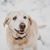 Rori Erickson's profile image