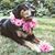 Alison Melis's profile image