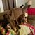 Melissa Barbary's profile image