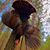 Darrell Hall RW's profile image
