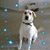 Lucho-Mynaliz Cardona's profile image