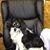 Linda Carter's profile image