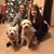 Kendra Forshee's profile image