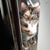 Shiela M. Edwards's profile image