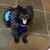 Paula Kelly's profile image