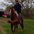 Randy Wayne Craven's profile image