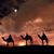 Lisa Bradford Tarvin's profile image