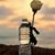 Deidre A. Kellogg's profile image