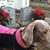 Emma Grace Short's profile image