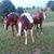 Neke Teague's profile image