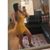 Dery Tobar's profile image