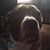 Jeff Lewis's profile image