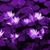 Janice L Mote's profile image