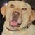 Christine Ramsden Jackson's profile image