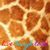 Mally Gonzales's profile image
