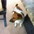 Diana Robinson's profile image